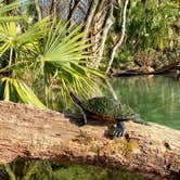 Review photo of Rainbow Springs State Park Campground by Kathy L., February 13, 2022