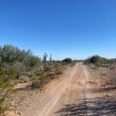 Review photo of BLM Ironwood Forest National Monument - Pipeline Rd Dispersed camping by Monte W., February 13, 2022