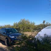 Review photo of BLM Ironwood Forest National Monument - Pipeline Rd Dispersed camping by Monte W., February 13, 2022