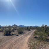 Review photo of BLM Ironwood Forest National Monument - Pipeline Rd Dispersed camping by Monte W., February 13, 2022