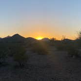 Review photo of BLM Ironwood Forest National Monument - Pipeline Rd Dispersed camping by Monte W., February 13, 2022