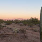 Review photo of BLM Ironwood Forest National Monument - Pipeline Rd Dispersed camping by Monte W., February 13, 2022