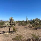 Review photo of BLM Ironwood Forest National Monument - Pipeline Rd Dispersed camping by Monte W., February 13, 2022