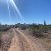 Review photo of BLM Ironwood Forest National Monument - Pipeline Rd Dispersed camping by Monte W., February 13, 2022