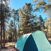 Review photo of Fr 195 Campground by Taliyah S., February 13, 2022