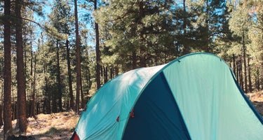 Fr 195 Campground