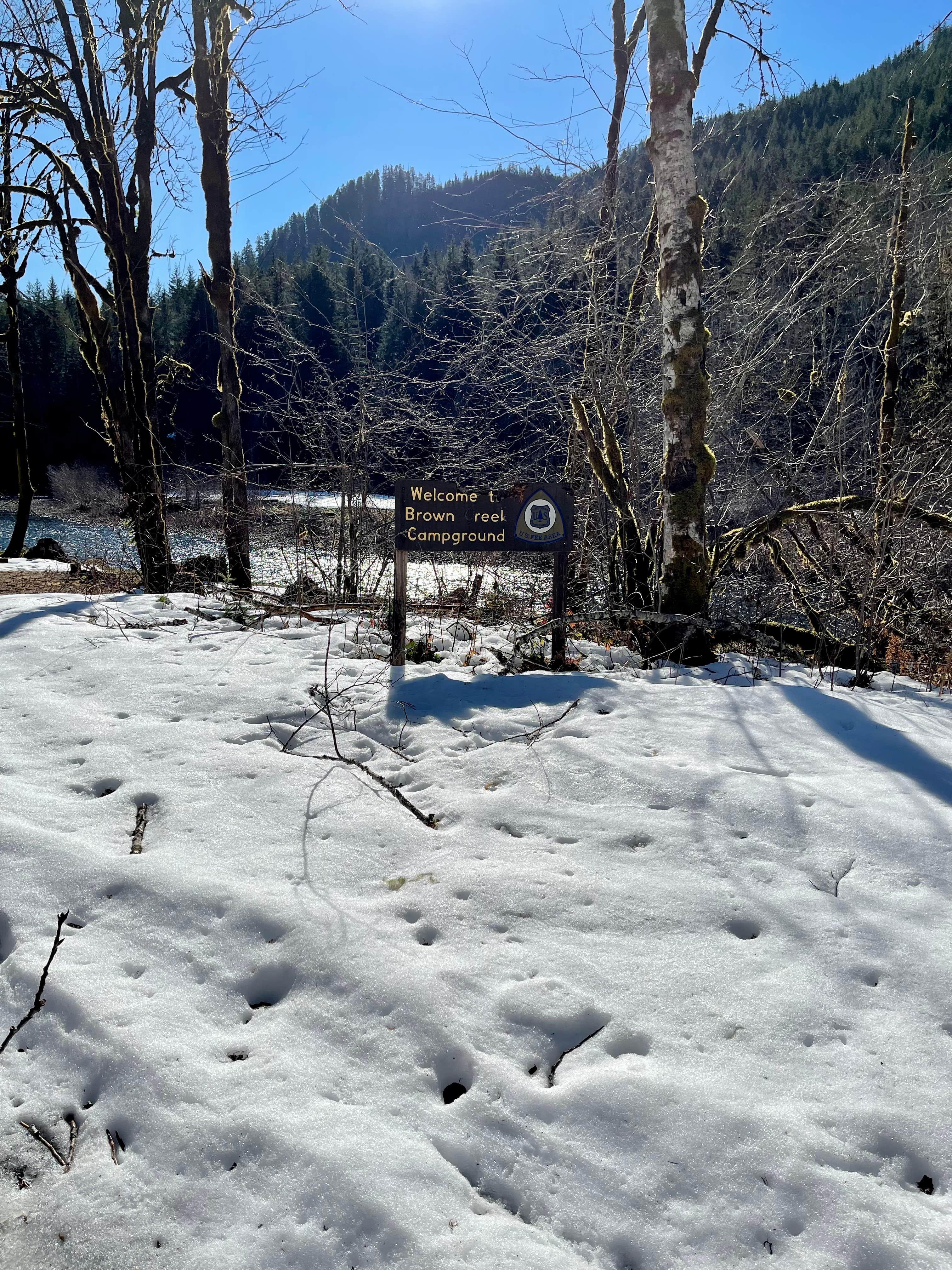 Camper-submitted photo at Brown Creek Campground near Matlock, WA