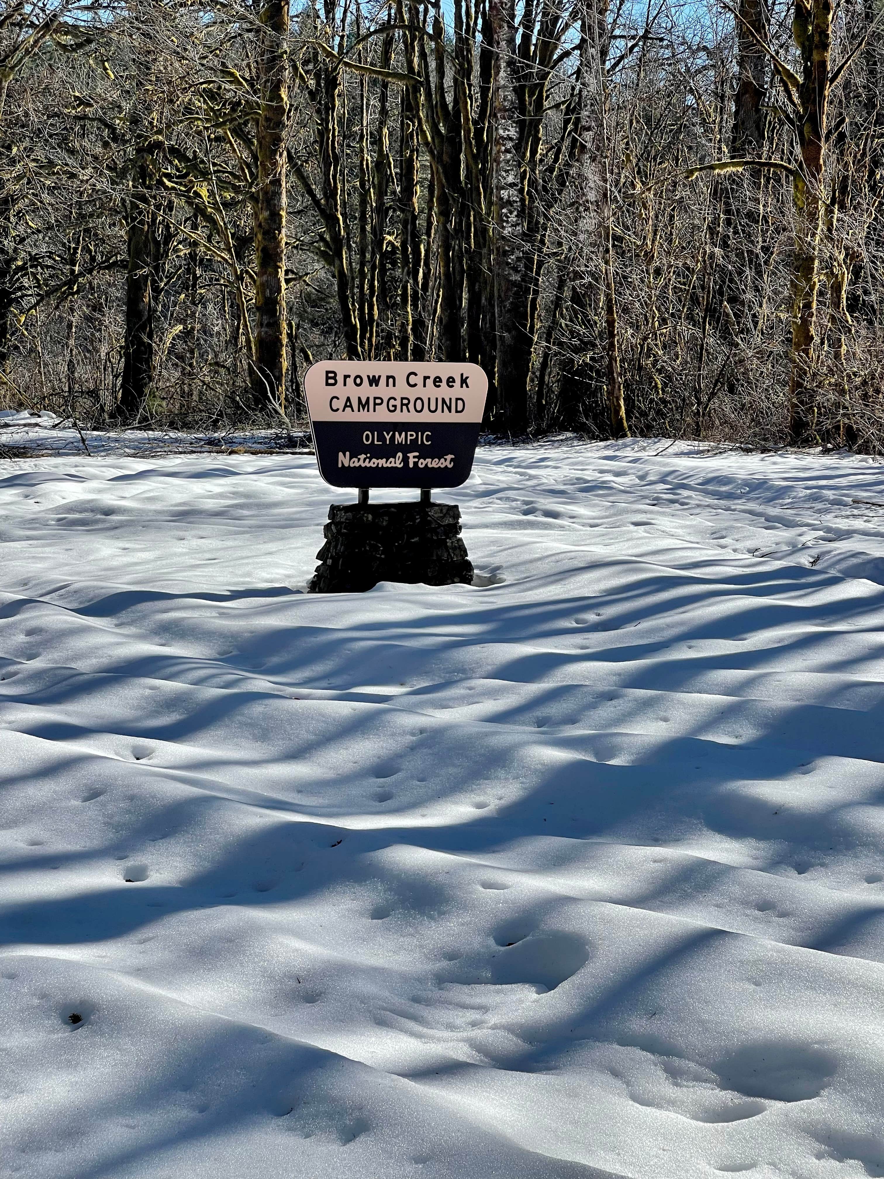 Camper-submitted photo at Brown Creek Campground near Matlock, WA