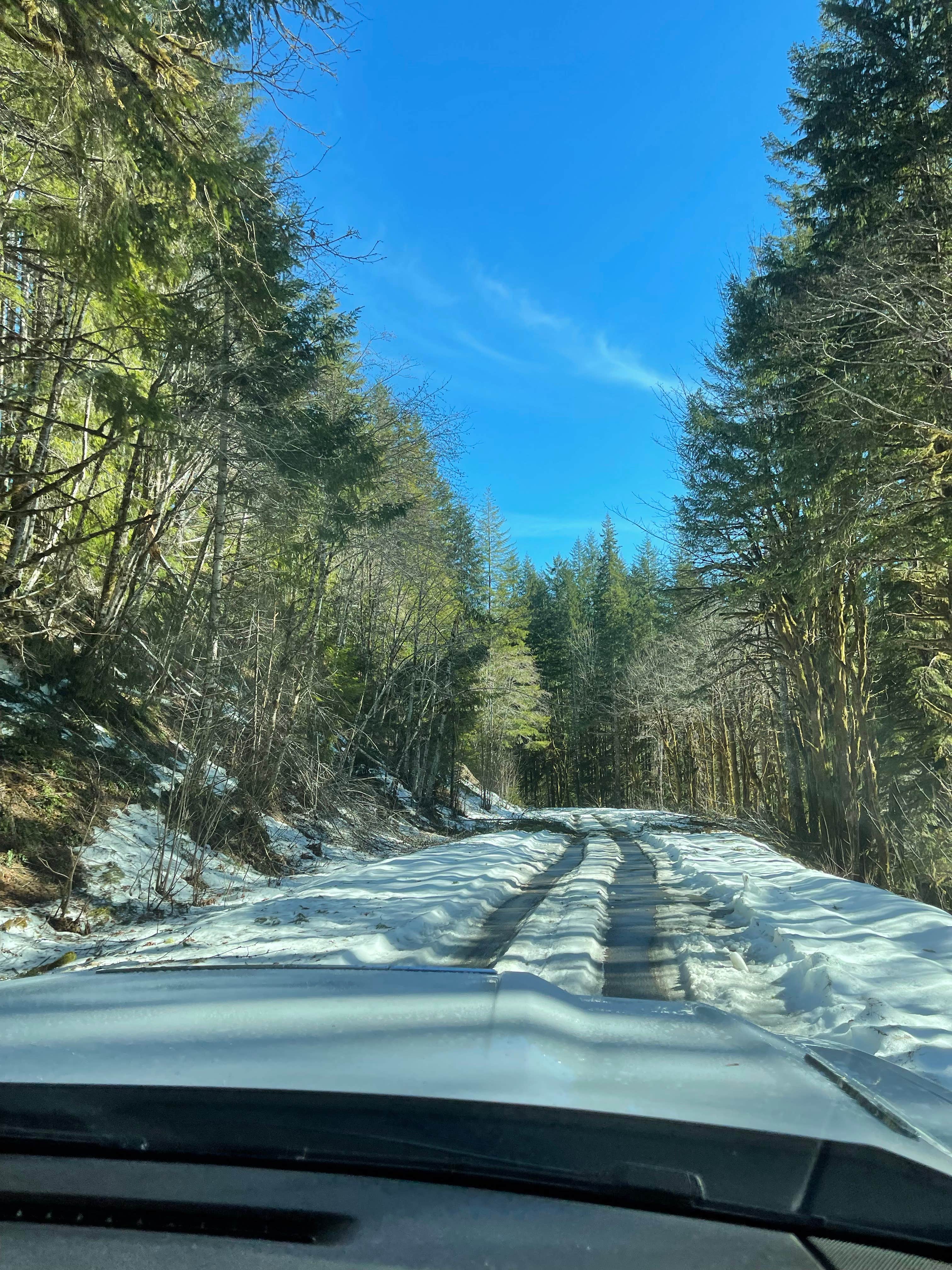 Camper-submitted photo at Brown Creek Campground near Matlock, WA