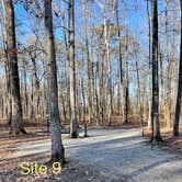 Review photo of Foster Falls Campground by Shana D., February 13, 2022