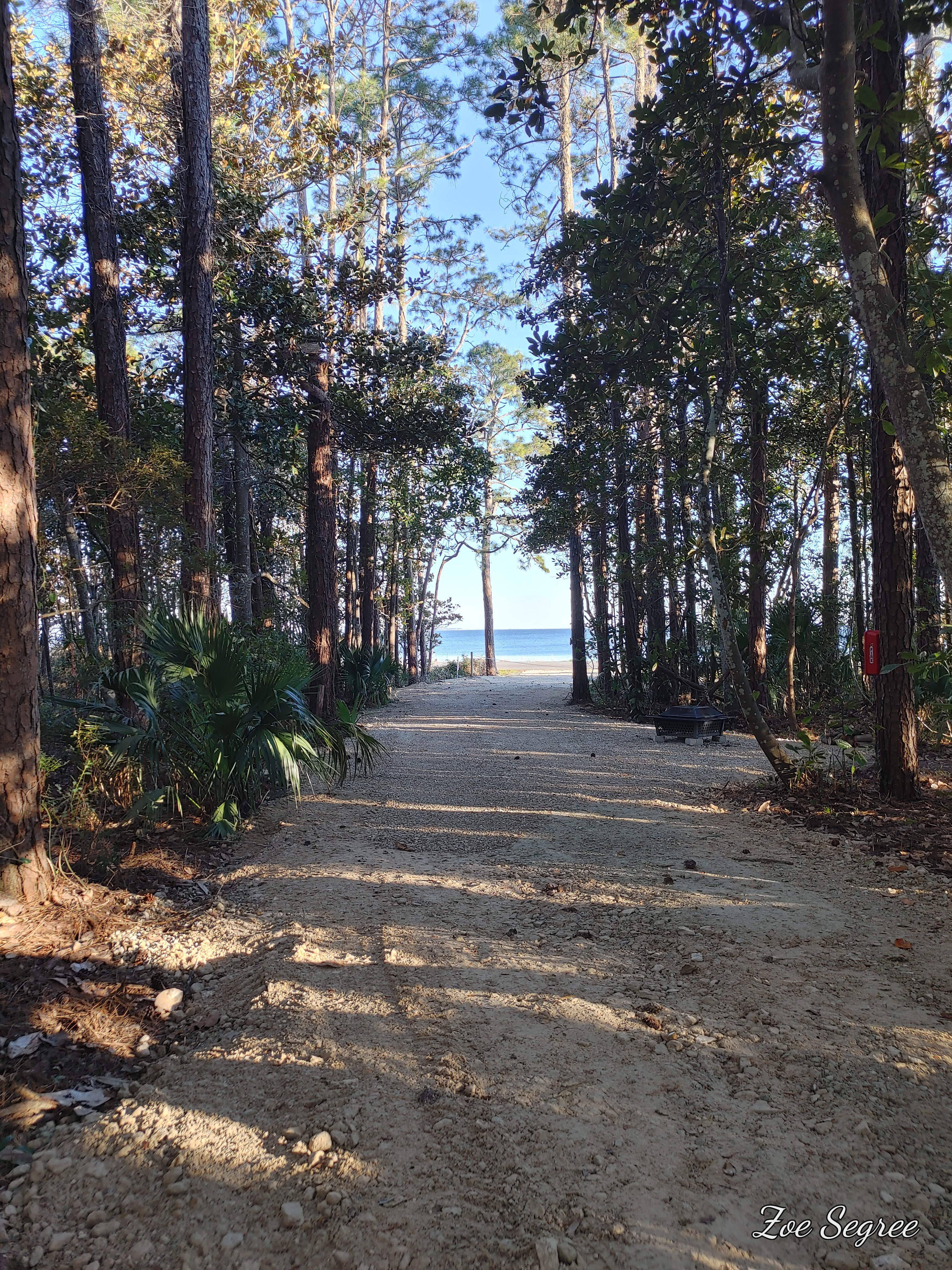 Camper-submitted photo at Magnolias by the Bay private RV site + Dock near Eastpoint, FL