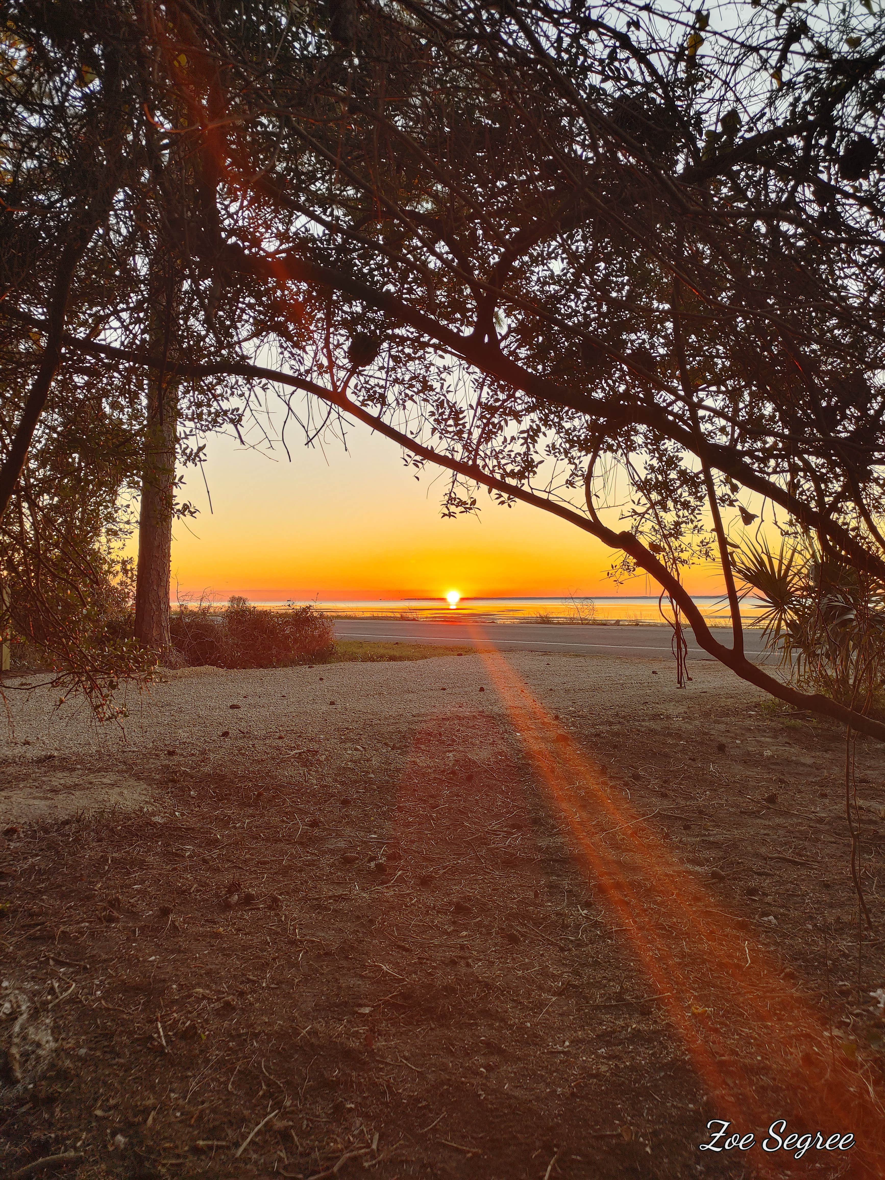 Camper submitted image from Magnolias by the Bay private RV site + Dock - 1