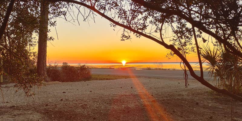 Camper submitted image from Magnolias by the Bay private RV site + Dock