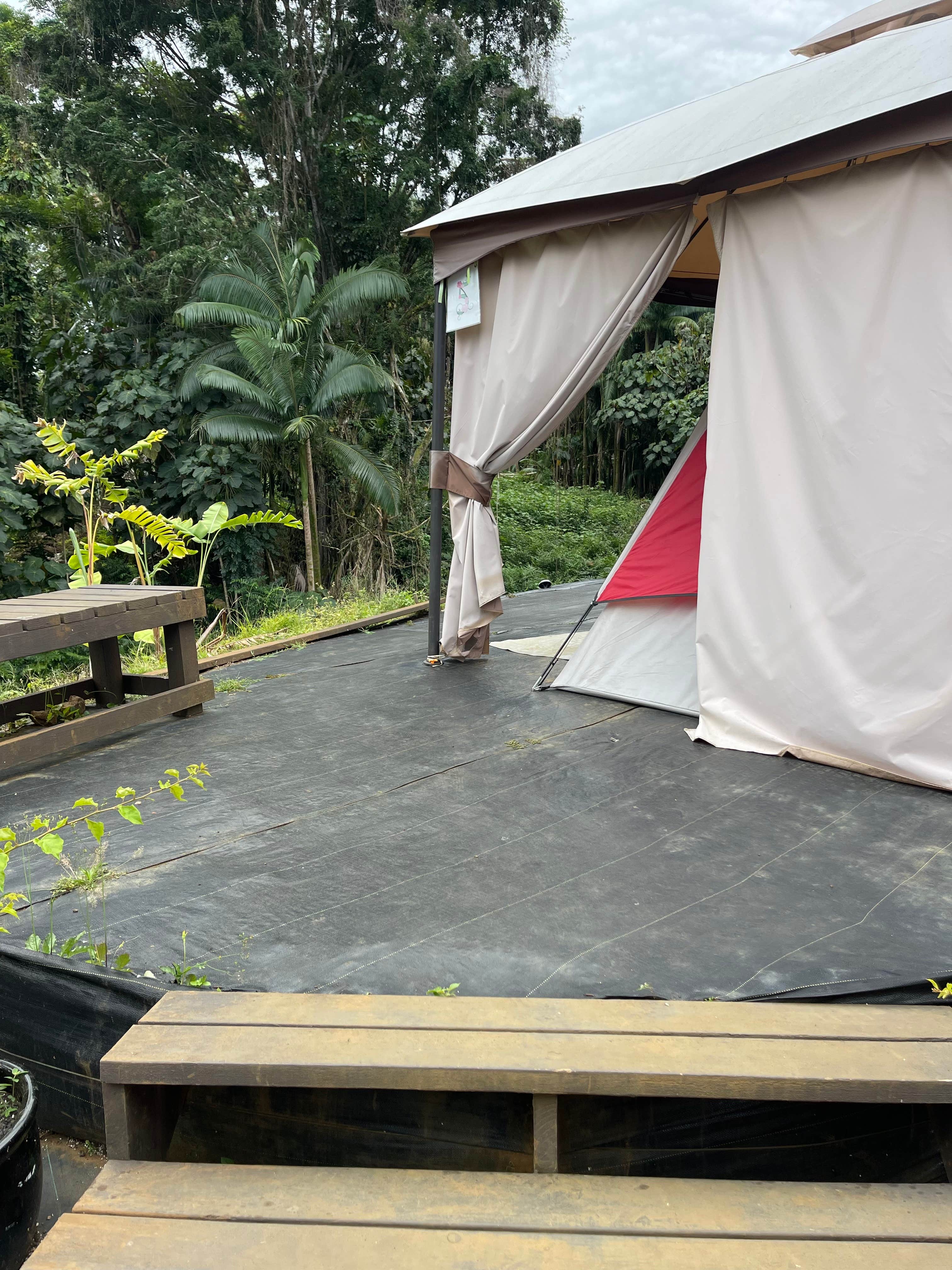 Annie E.'s photo at Soil to Soul - PERMANENTLY CLOSED near Hilo, HI