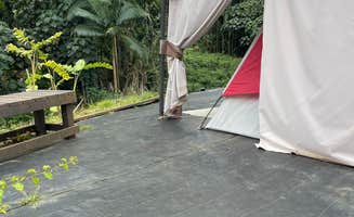 Annie E.'s photo at Soil to Soul - PERMANENTLY CLOSED near Hilo, HI