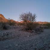 Review photo of Craggy Wash - Dispersed Camping Area by Kathy M., February 14, 2022