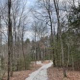 Review photo of Greeter Falls Campground by Shana D., February 14, 2022