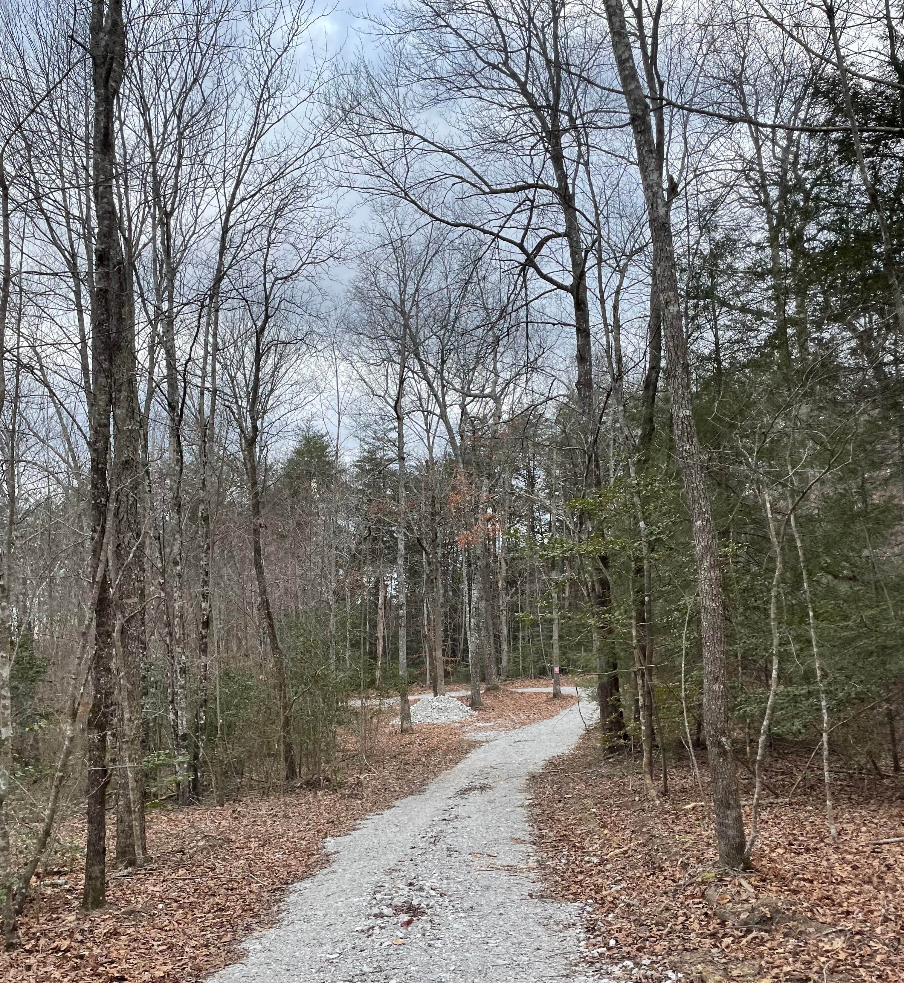 Camper submitted image from Greeter Falls Campground - 5