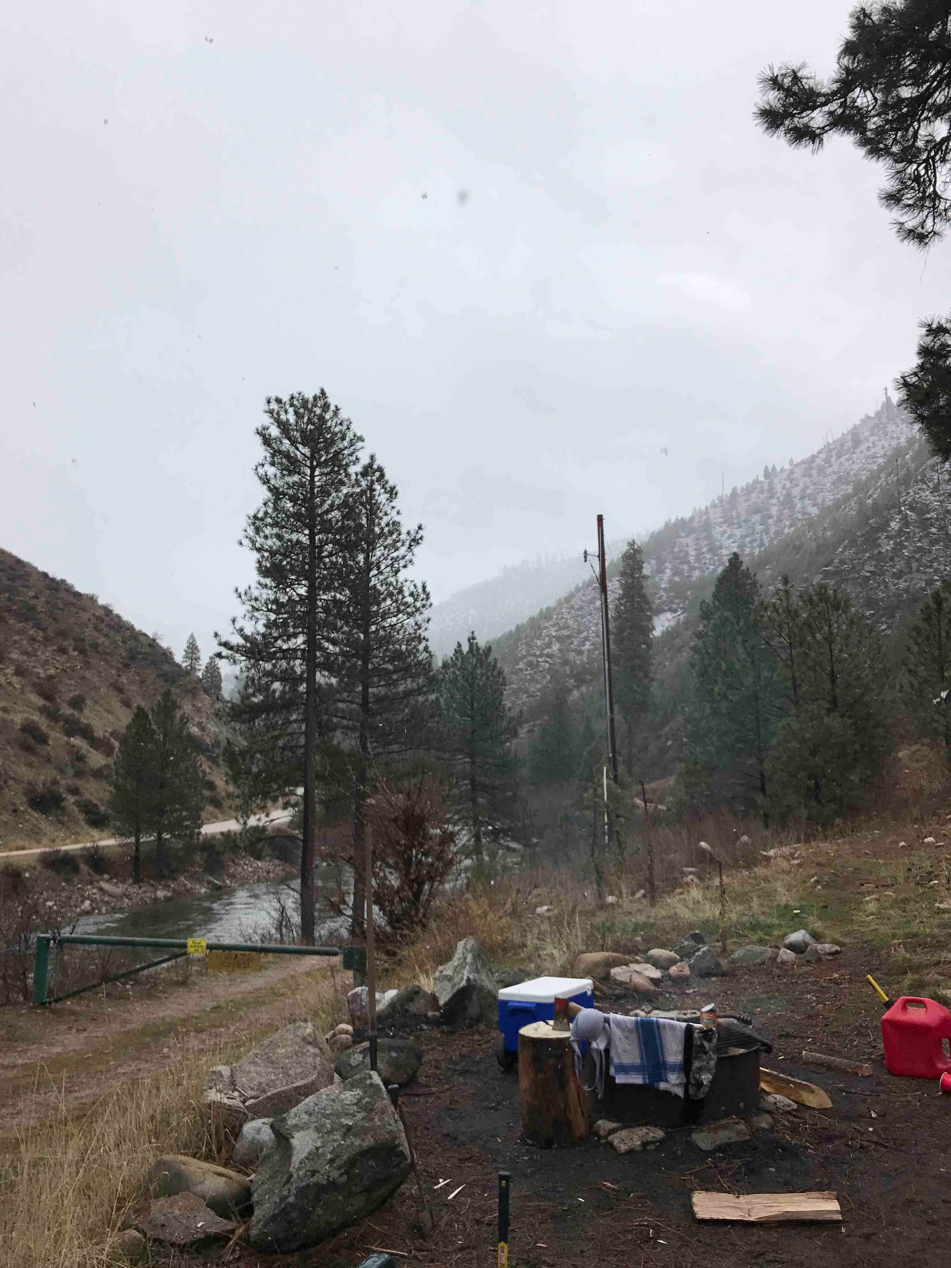 View All