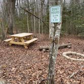 Review photo of Greeter Falls Campground by Shana D., February 14, 2022