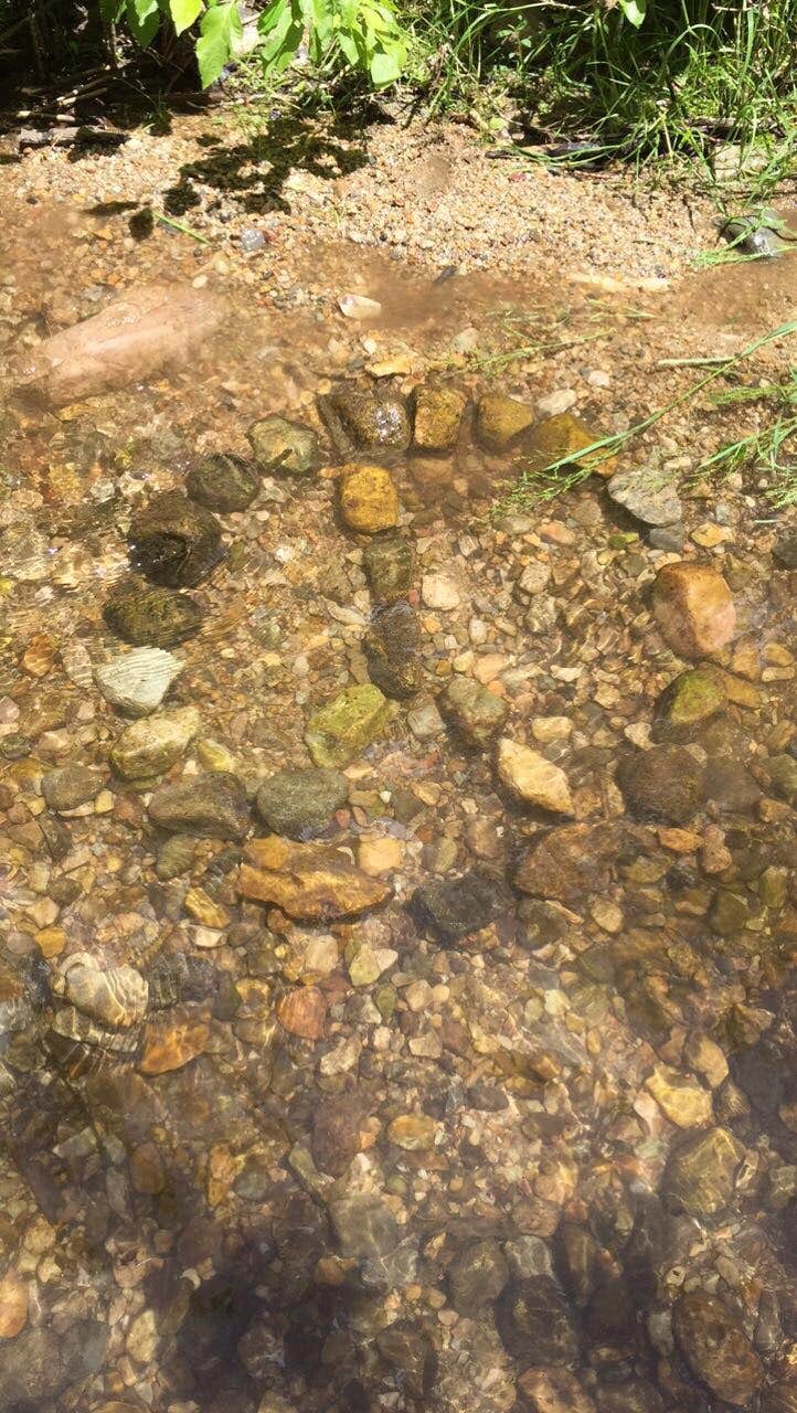 Camper-submitted photo at Box Elder Campground near Mantua, UT