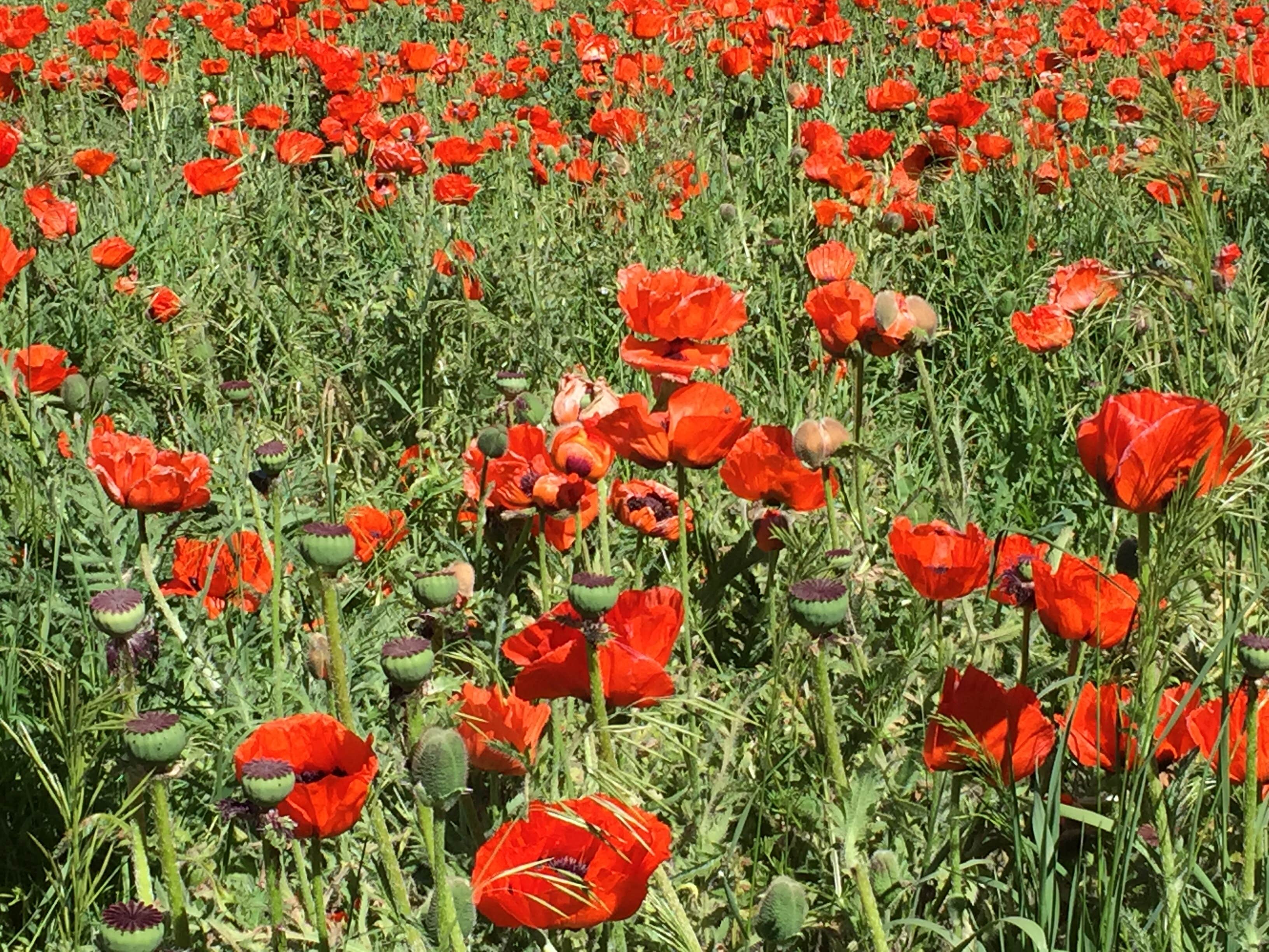 Camper-submitted photo at Box Elder Campground near Mantua, UT
