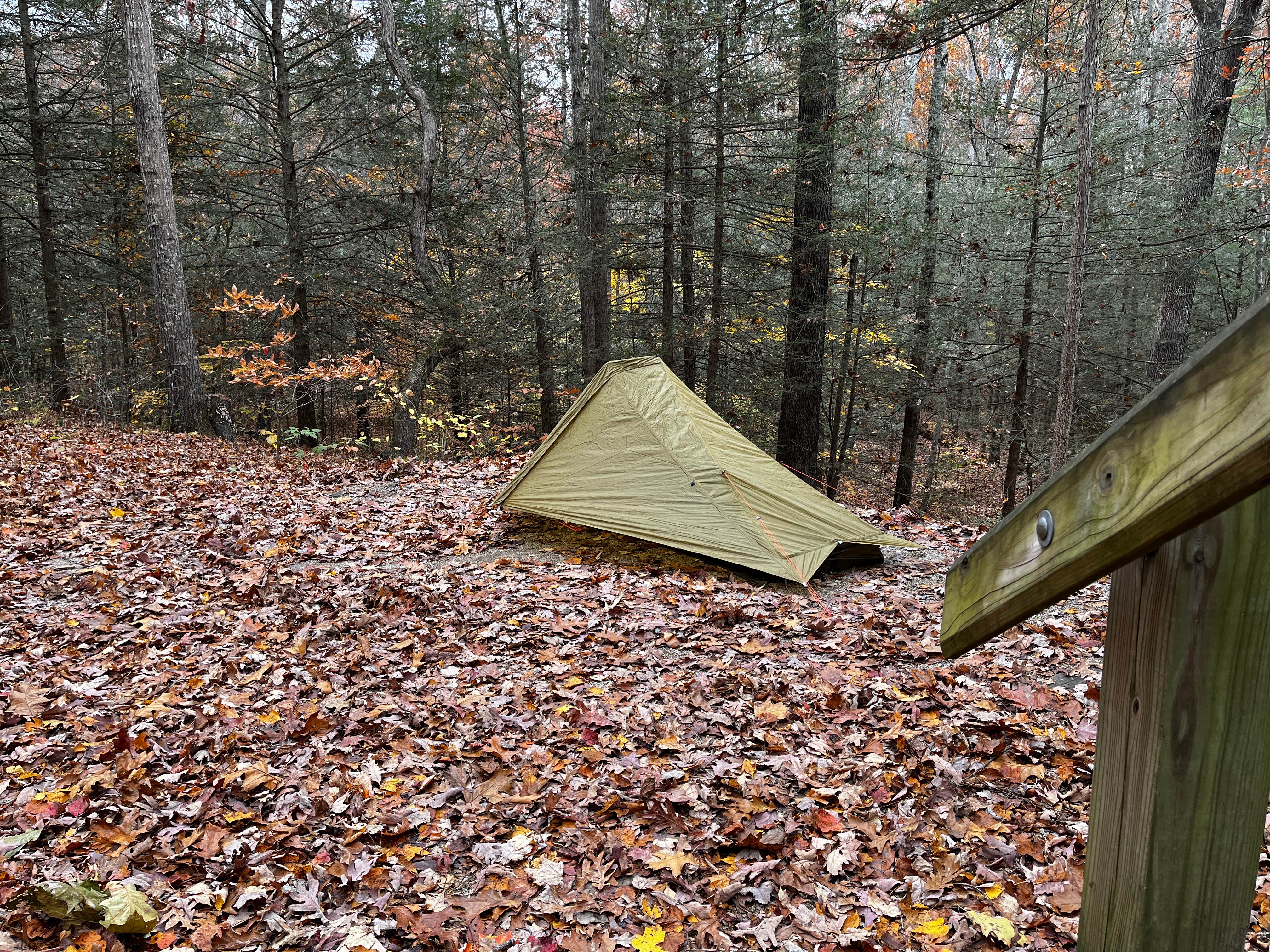 Steven  D.'s photo at Koomer Ridge Campground — Daniel Boone National Forest near Beattyville, KY