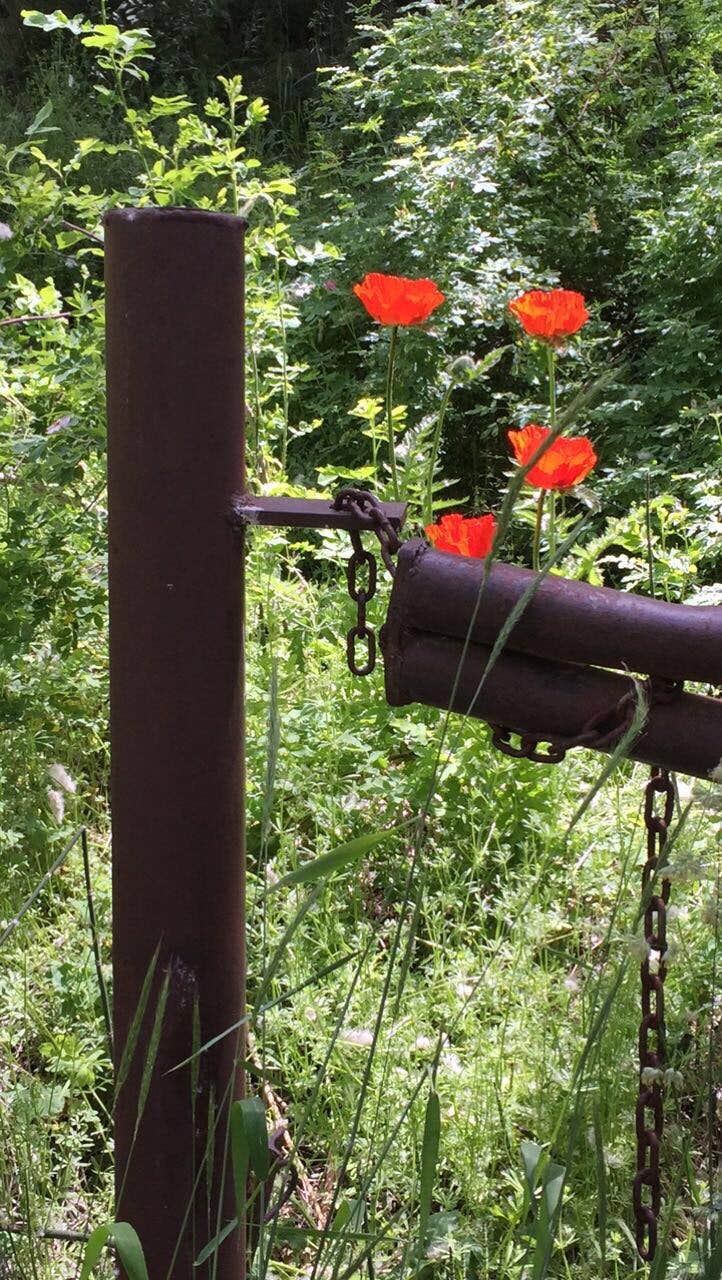 Camper-submitted photo at Box Elder Campground near Mantua, UT