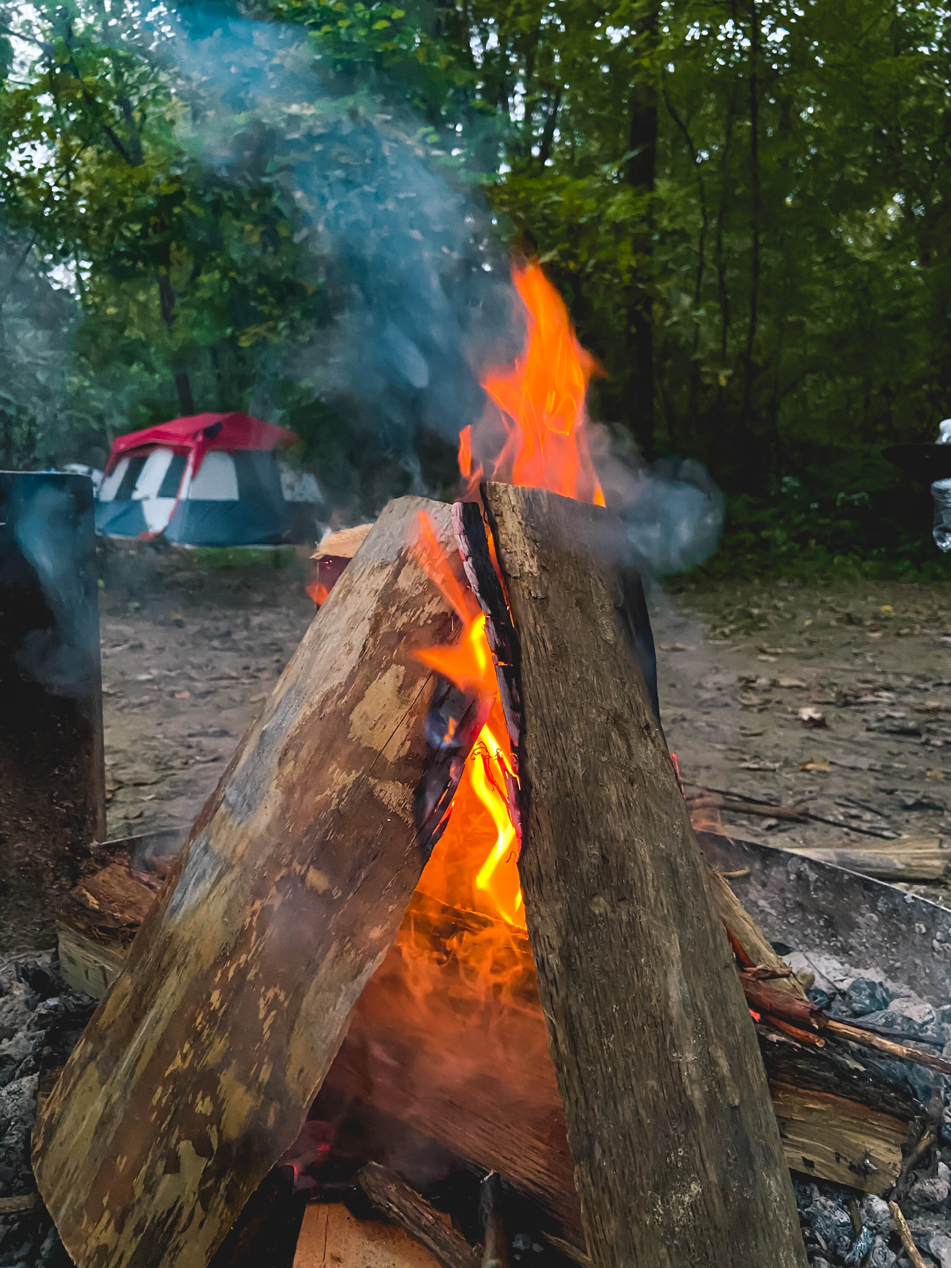 Steven  D.'s photo at Shades State Park Campground near Cecil M. Harden Lake