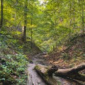 Review photo of Shades State Park Campground by Steven  D., February 14, 2022