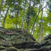 Review photo of Shades State Park Campground by Steven  D., February 14, 2022