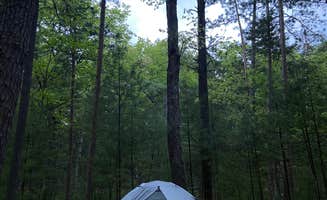 Steven D.'s photo at Platte River Campground — Sleeping Bear Dunes National Lakeshore near Arcadia, MI
