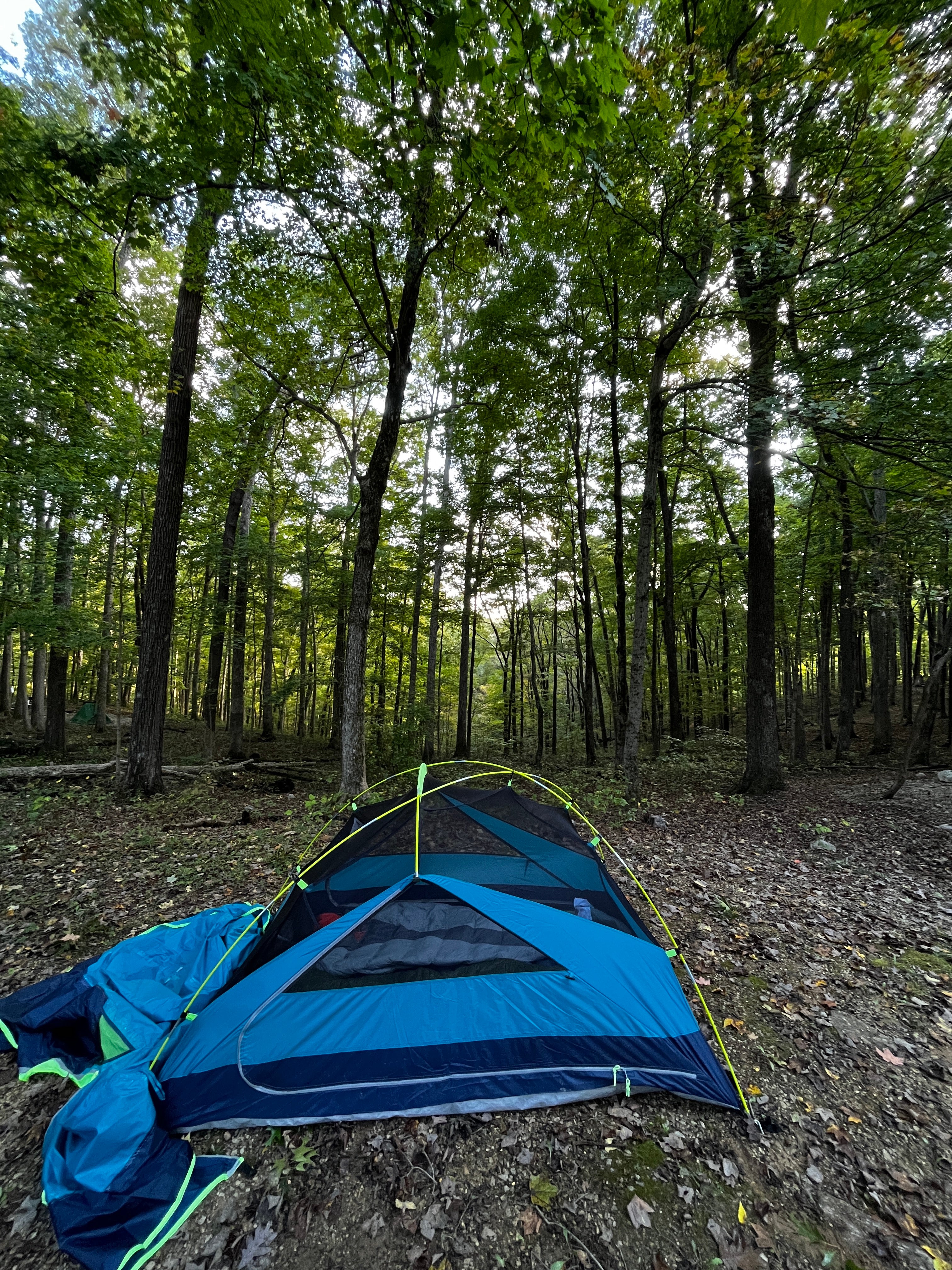 Camper submitted image from Hoosier National Forest White Oak Loop Campground - 2