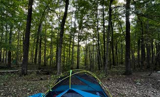 Steven  D.'s photo at Hoosier National Forest White Oak Loop Campground near Monroe Lake