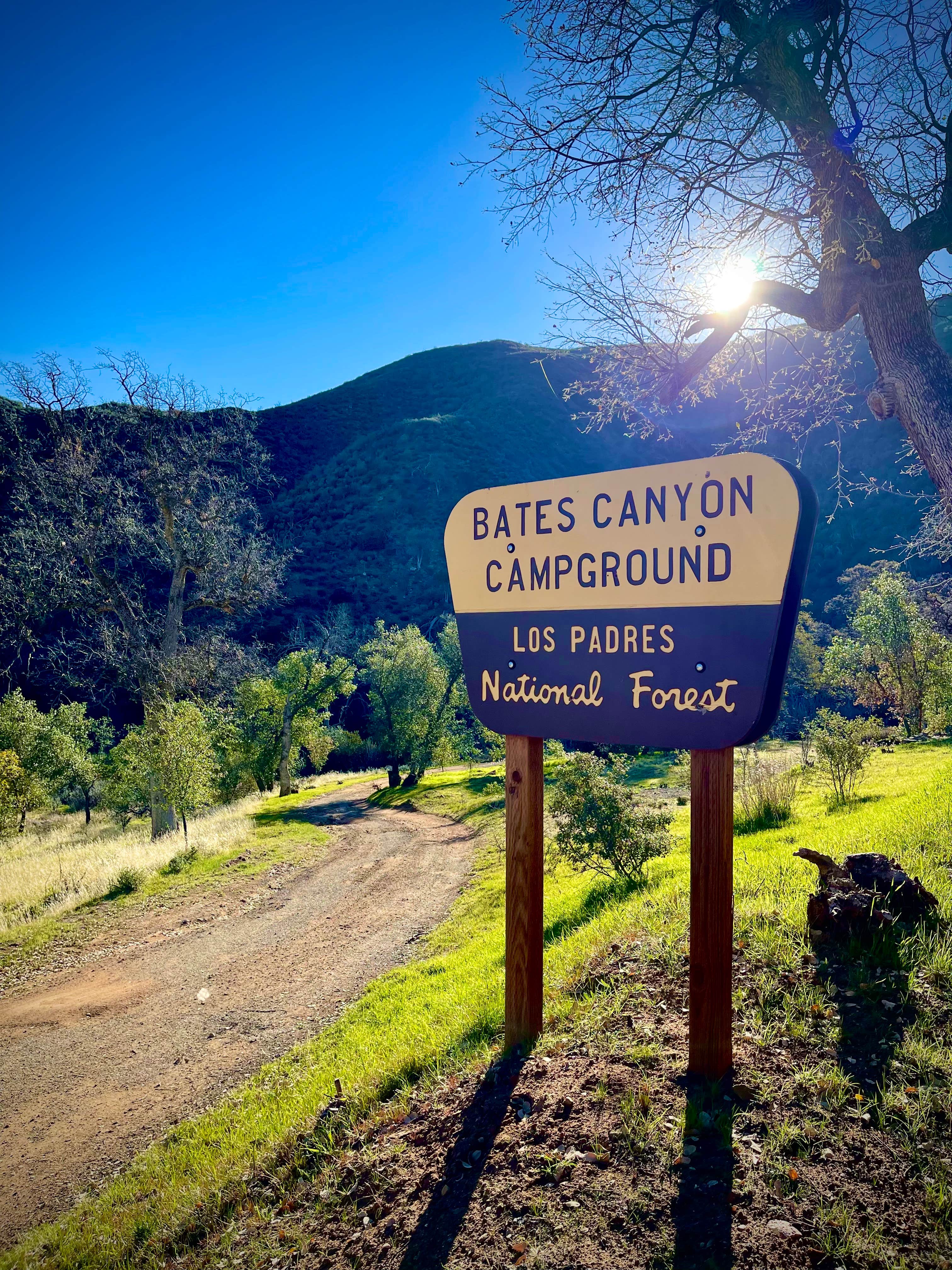 Camper submitted image from Bates Canyon Campground - 2