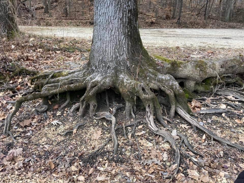 Camper-submitted photo at Lakefront Campground — Nathan Bedford Forrest State Park near Waverly, TN