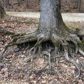 Review photo of Lakefront Campground — Nathan Bedford Forrest State Park by beth , February 15, 2022