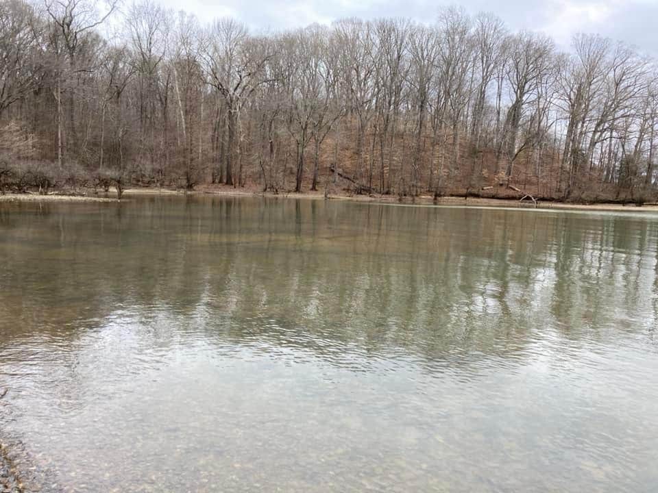 Camper submitted image from Lakefront Campground — Nathan Bedford Forrest State Park - 3