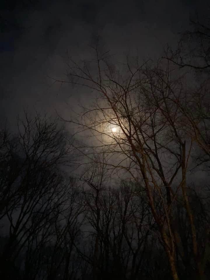 Camper-submitted photo at Lakefront Campground — Nathan Bedford Forrest State Park near Waverly, TN