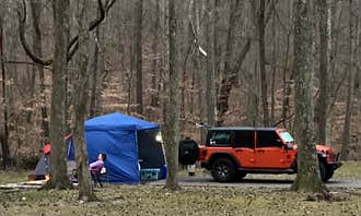 Camping near Big Sandy: Lakefront Campground — Nathan Bedford Forrest State Park, Eva, Tennessee