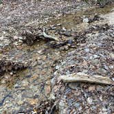 Review photo of Lakefront Campground — Nathan Bedford Forrest State Park by beth , February 15, 2022