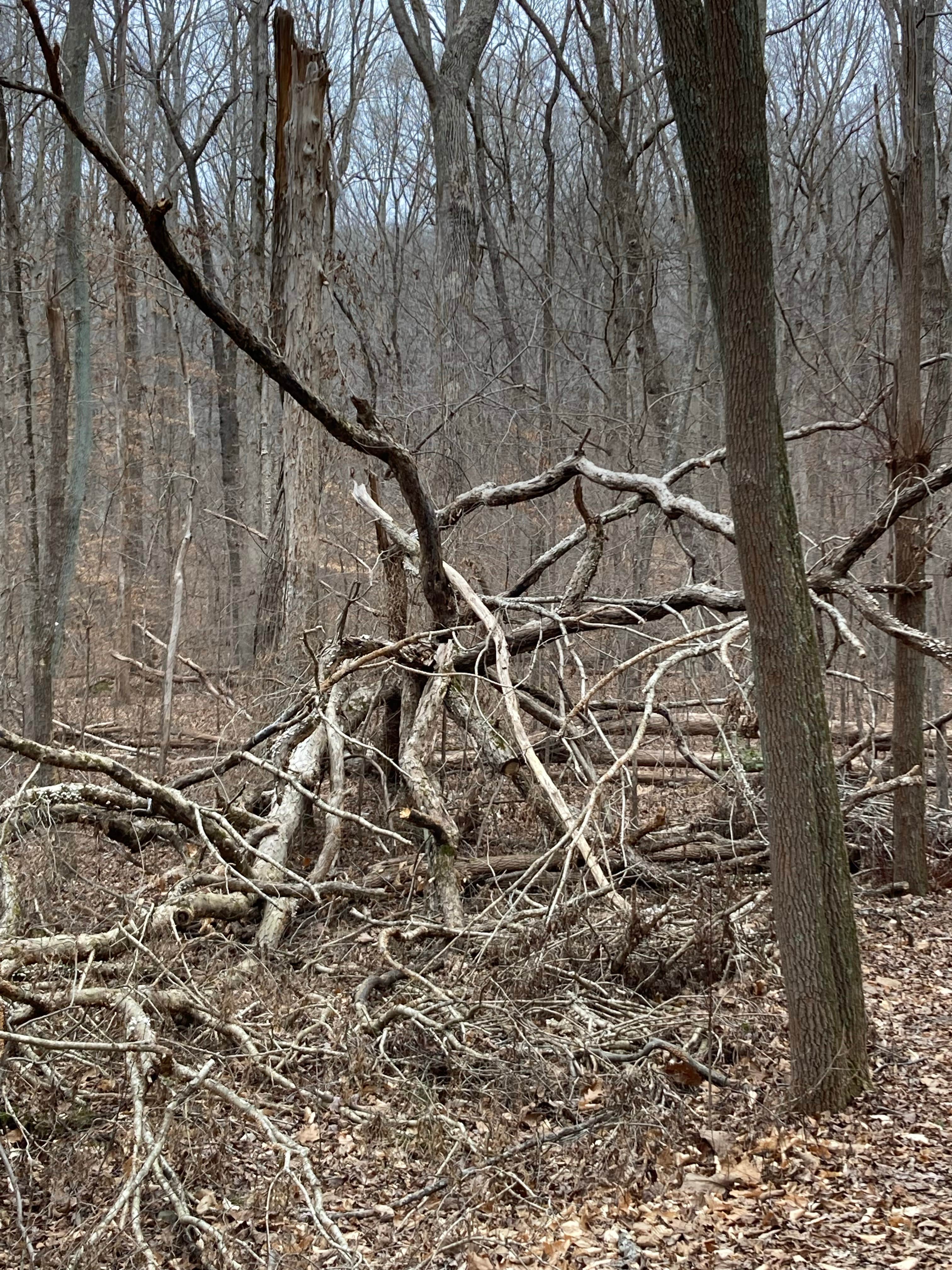 Camper-submitted photo at Lakefront Campground — Nathan Bedford Forrest State Park near Waverly, TN