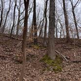 Review photo of Lakefront Campground — Nathan Bedford Forrest State Park by beth , February 15, 2022