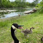 Review photo of Louisville State Recreation Area by Susan S., February 15, 2022