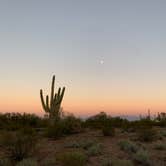 Review photo of BLM Ironwood Forest National Monument - Pipeline Rd Dispersed camping by Gretchen P., February 15, 2022