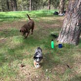 Review photo of Pine Flats (ID) by Eden T., July 10, 2018