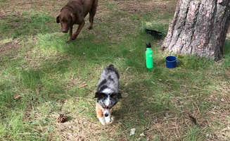 Eden T.'s photo of camping with pets at Pine Flats (ID) near Crouch, ID