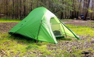 Jeremy G.'s photo at Ginnie Springs Outdoors near Archer, FL