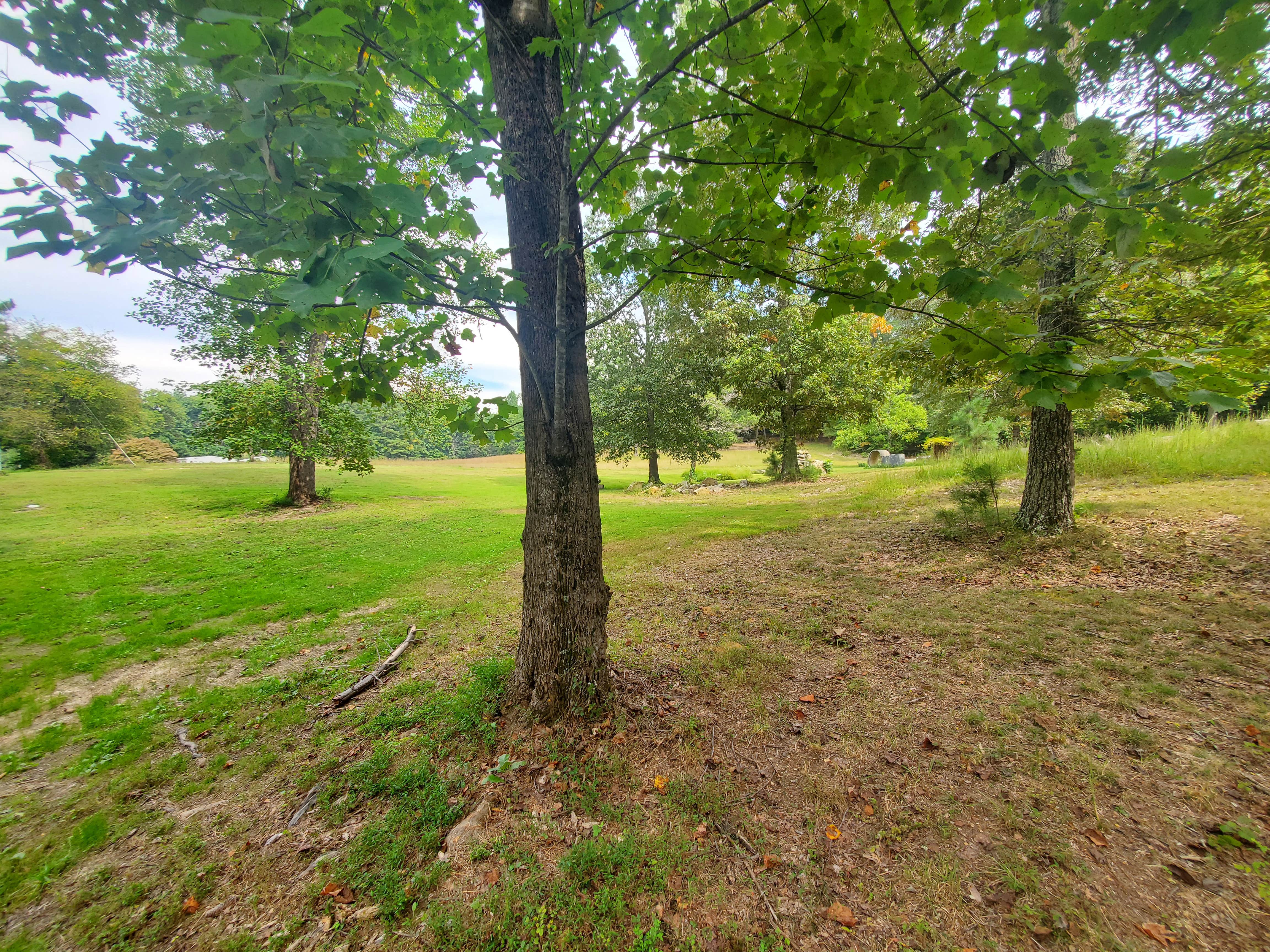 Camper-submitted photo at Shady Grove near Apison, TN