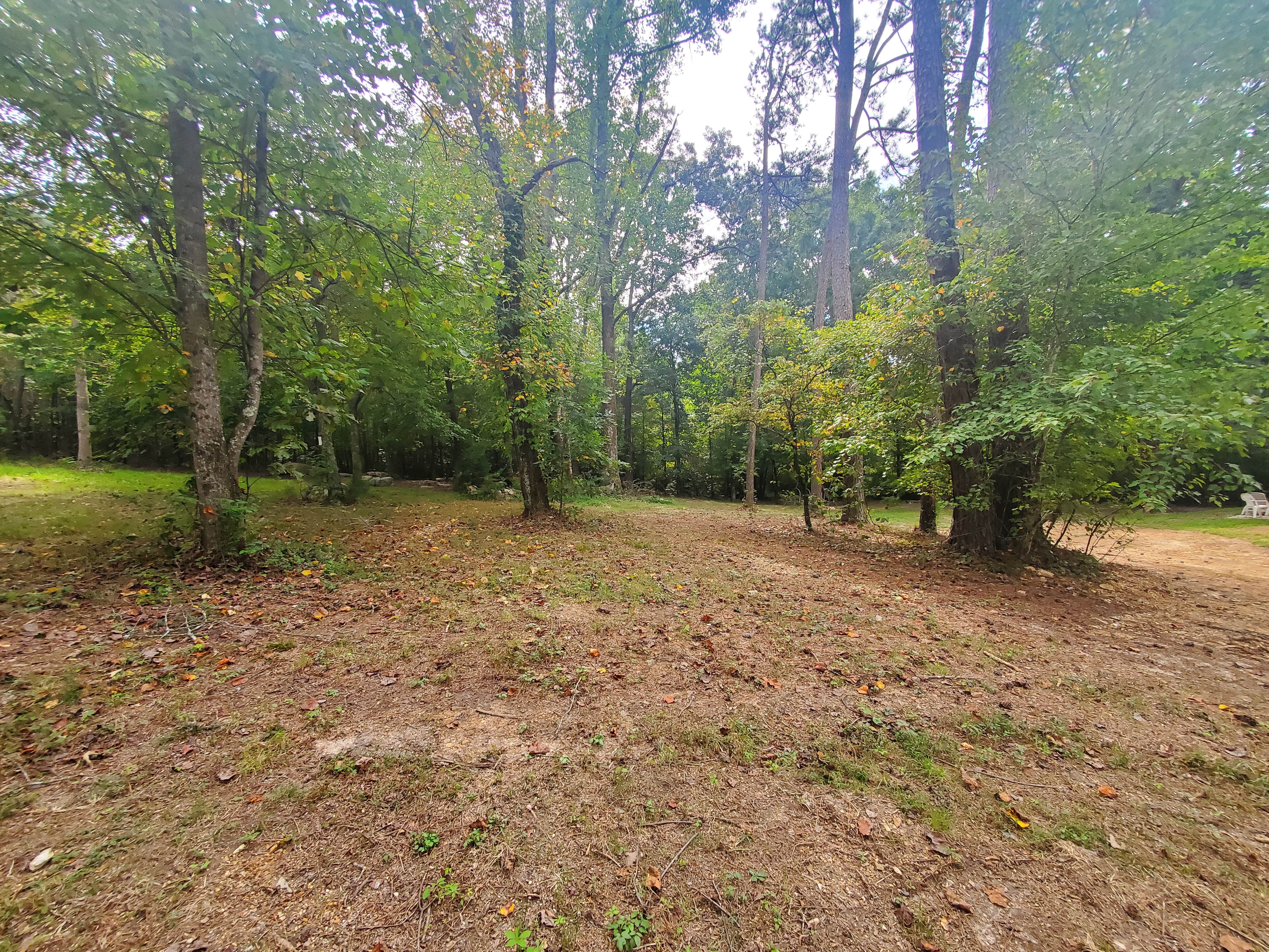 Camper-submitted photo at Shady Grove near Apison, TN